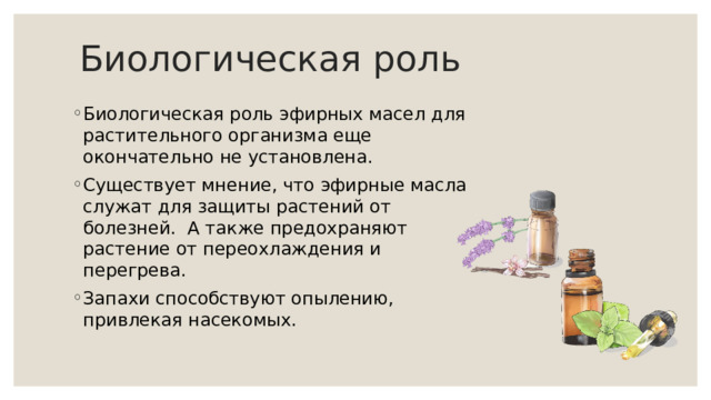 Биологическая роль Биологическая роль эфирных масел для растительного организма еще окончательно не установлена. Существует мнение, что эфирные масла служат для защиты растений от болезней. А также предохраняют растение от переохлаждения и перегрева. Запахи способствуют опылению, привлекая насекомых. 