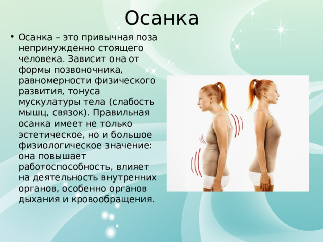 Осанка Осанка – это привычная поза непринужденно стоящего человека. Зависит она от формы позвоночника, равномерности физического развития, тонуса мускулатуры тела (слабость мышц, связок). Правильная осанка имеет не только эстетическое, но и большое физиологическое значение: она повышает работоспособность, влияет на деятельность внутренних органов, особенно органов дыхания и кровообращения. 