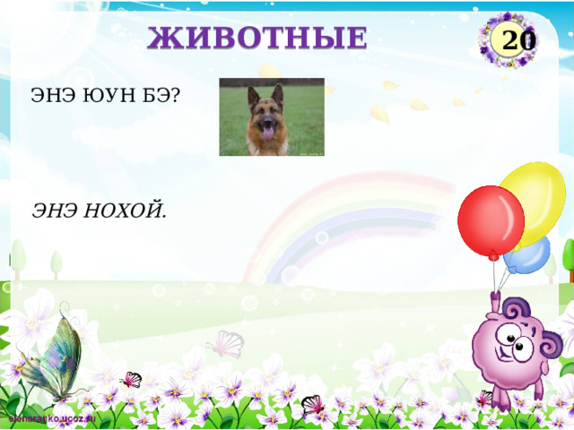 ЖИВОТНЫЕ 20 ЭНЭ ЮУН БЭ? ЭНЭ НОХОЙ.  