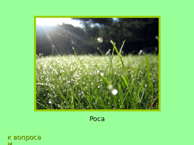 Роса к вопросам 