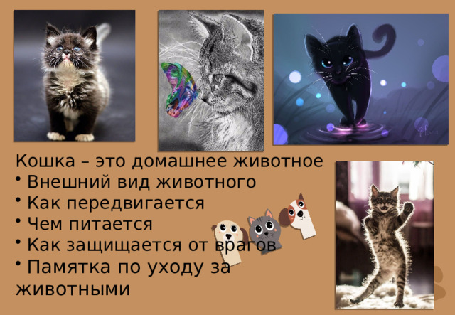 Кошка – это домашнее животное  Внешний вид животного  Как передвигается  Чем питается  Как защищается от врагов  Памятка по уходу за животными 