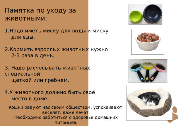 Памятка по уходу за животными: 1.Надо иметь миску для воды и миску  для еды. 2.Кормить взрослых животных нужно  2-3 раза в день. 3. Надо расчесывать животных специальной  щеткой или гребнем. 4.У животного должно быть своё  место в доме. Кошки радуют нас своим обществом, успокаивают, веселят, даже лечат. Необходимо заботиться о здоровье домашних питомцев. 
