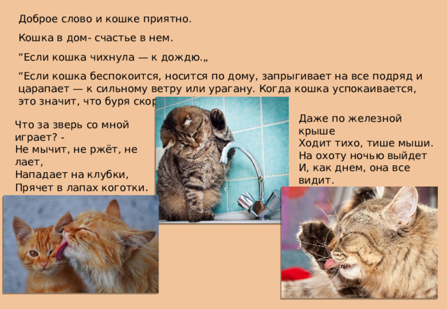 Доброе слово и кошке приятно. Кошка в дом- счастье в нем. “ Если кошка чихнула — к дождю.„ “ Если кошка беспокоится, носится по дому, запрыгивает на все подряд и царапает — к сильному ветру или урагану. Когда кошка успокаивается, это значит, что буря скоро затихнет.„ Даже по железной крыше  Ходит тихо, тише мыши.  На охоту ночью выйдет  И, как днем, она все видит.  Часто спит, а после сна  Умывается она. Что за зверь со мной играет? -  Не мычит, не ржёт, не лает,  Нападает на клубки,  Прячет в лапах коготки . 