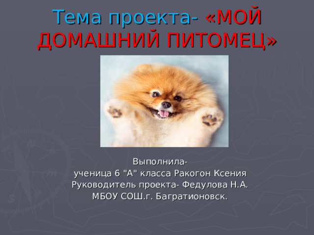 Тема проекта- «МОЙ ДОМАШНИЙ ПИТОМЕЦ» Выполнила- ученица  6 