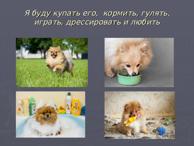 Я буду купать его, кормить, гулять, играть, дрессировать и любить 