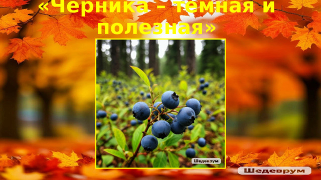 «Черника – темная и полезная» 