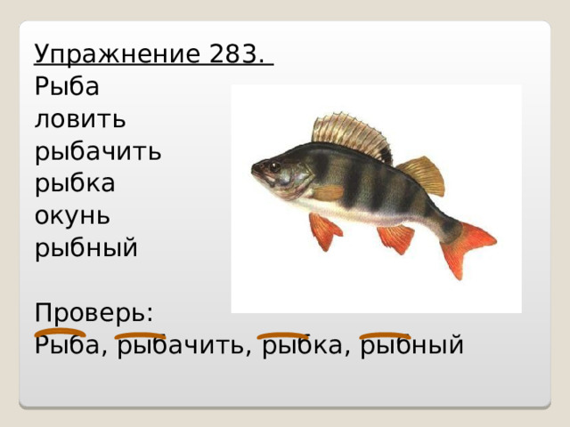 Упражнение 283. Рыба ловить рыбачить рыбка окунь рыбный Проверь: Рыба, рыбачить, рыбка, рыбный 