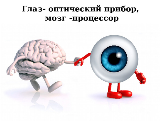 Глаз- оптический прибор,  мозг -процессор 