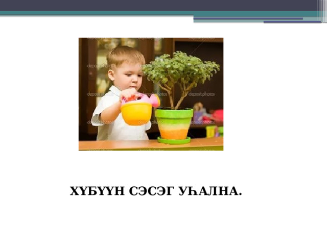 ХҮБҮҮН СЭСЭГ УҺАЛНА. 