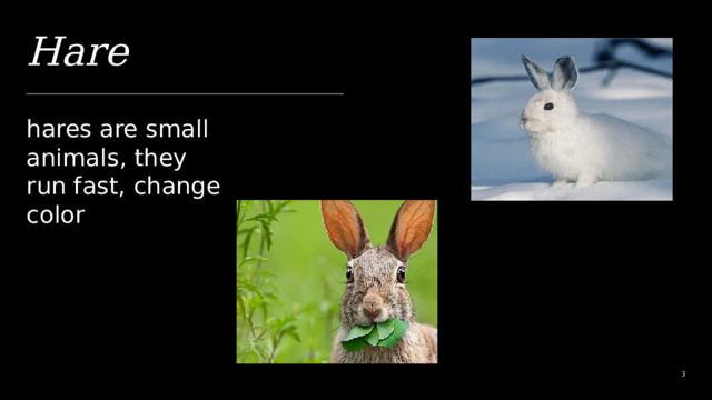 Hare hares are small animals, they run fast, change color 1 1 