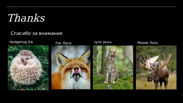 ЗАГОЛОВОК ПРЕЗЕНТАЦИИ 1 Thanks  Спасибо за внимание Hedgehog ёж Lynx рысь Moose Лось Fox Лиса 1 