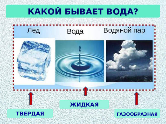 Какой бывает вода? ЖИДКАЯ ТВЁРДАЯ ГАЗООБРАЗНАЯ 