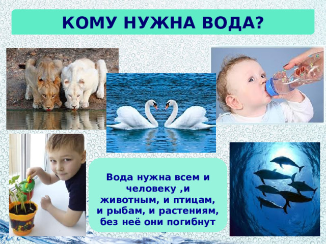 Кому нужна вода? Вода нужна всем и человеку ,и животным, и птицам, и рыбам, и растениям, без неё они погибнут 