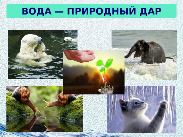 Вода — природный дар 