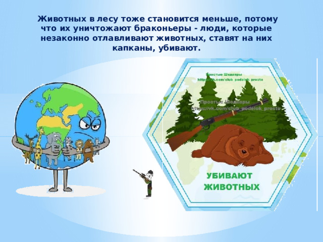   Животных в лесу тоже становится меньше, потому что их уничтожают браконьеры - люди, которые незаконно отлавливают животных, ставят на них капканы, убивают. 