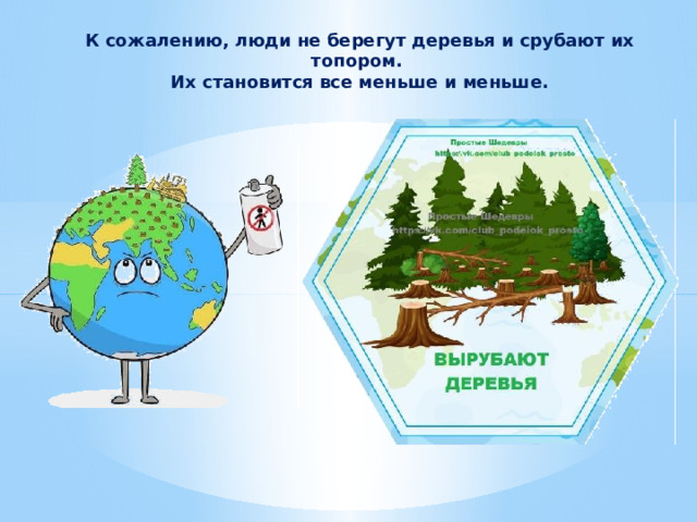 К сожалению, люди не берегут деревья и срубают их топором. Их становится все меньше и меньше. 