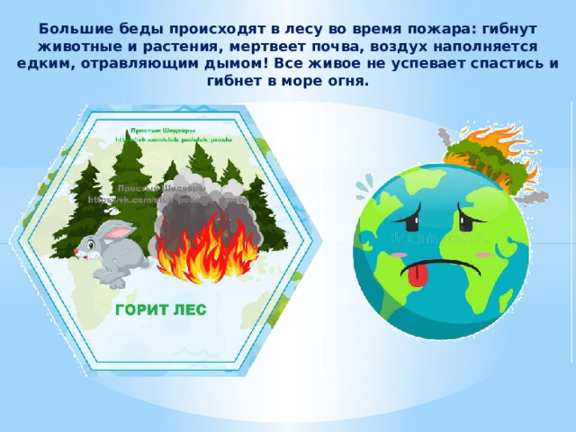Большие беды происходят в лесу во время пожара: гибнут животные и растения, мертвеет почва, воздух наполняется едким, отравляющим дымом! Все живое не успевает спастись и гибнет в море огня. 