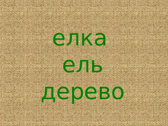 елка  ель  дерево 