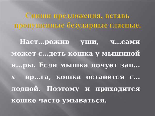 Наст…рожив уши, ч…сами может с…деть кошка у мышиной н…ры. Если мышка почует зап…х вр…га, кошка останется г…лодной. Поэтому и приходится кошке часто умываться.  