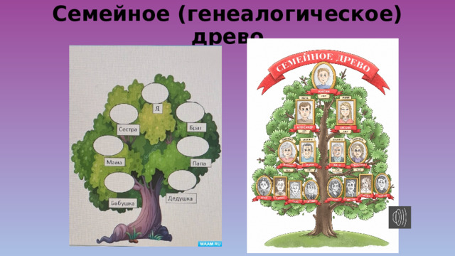 Семейное (генеалогическое) древо 