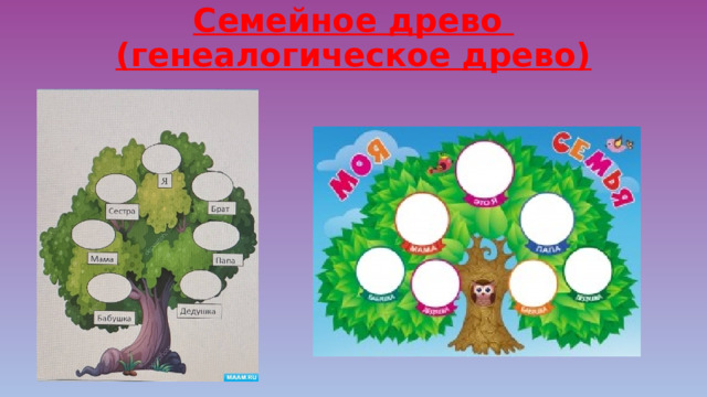 Семейное древо  (генеалогическое древо) 