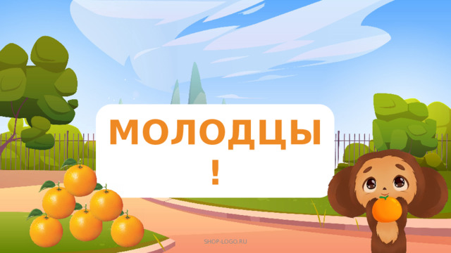 МОЛОДЦЫ ! SHOP-LOGO.RU 