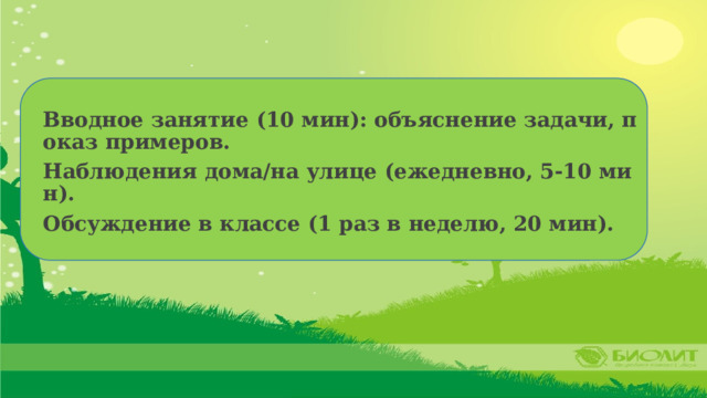 Вводное занятие (10 мин): объяснение задачи, показ примеров. Наблюдения дома/на улице (ежедневно, 5-10 мин). Обсуждение в классе (1 раз в неделю, 20 мин). 