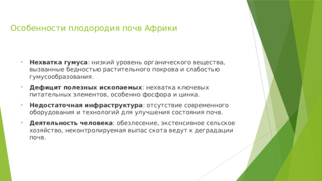 Особенности плодородия почв Африки Нехватка гумуса : низкий уровень органического вещества, вызванные бедностью растительного покрова и слабостью гумусообразования. Дефицит полезных ископаемых : нехватка ключевых питательных элементов, особенно фосфора и цинка. Недостаточная инфраструктура : отсутствие современного оборудования и технологий для улучшения состояния почв. Деятельность человека : обезлесение, экстенсивное сельское хозяйство, неконтролируемая выпас скота ведут к деградации почв. 