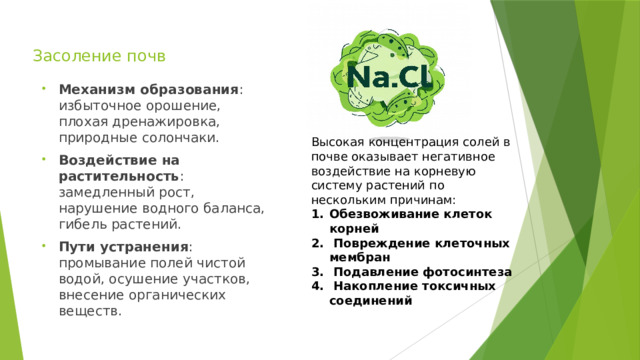 Засоление почв Механизм образования : избыточное орошение, плохая дренажировка, природные солончаки. Воздействие на растительность : замедленный рост, нарушение водного баланса, гибель растений. Пути устранения : промывание полей чистой водой, осушение участков, внесение органических веществ. Высокая концентрация солей в почве оказывает негативное воздействие на корневую систему растений по нескольким причинам: Обезвоживание клеток корней  Повреждение клеточных мембран  Подавление фотосинтеза  Накопление токсичных соединений 