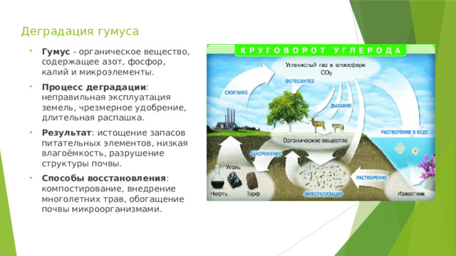 Деградация гумуса Гумус - органическое вещество, содержащее азот, фосфор, калий и микроэлементы. Процесс деградации : неправильная эксплуатация земель, чрезмерное удобрение, длительная распашка. Результат : истощение запасов питательных элементов, низкая влагоёмкость, разрушение структуры почвы. Способы восстановления : компостирование, внедрение многолетних трав, обогащение почвы микроорганизмами. 