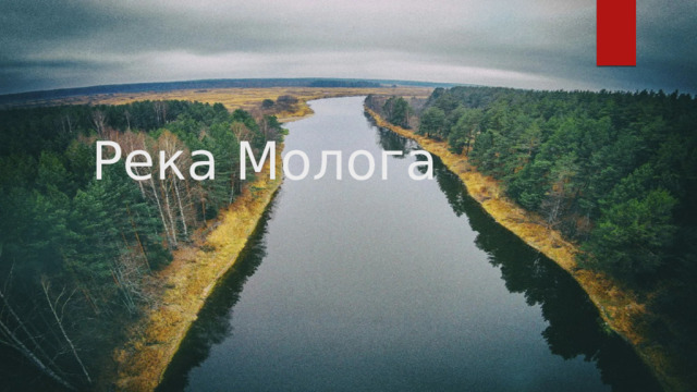 Река Молога 