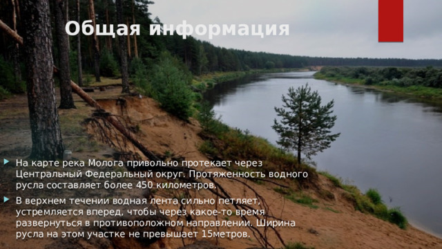 Общая информация   На карте река Молога привольно протекает через Центральный Федеральный округ. Протяженность водного русла составляет более 450 километров. В верхнем течении водная лента сильно петляет, устремляется вперед, чтобы через какое-то время развернуться в противоположном направлении. Ширина русла на этом участке не превышает 15метров. 