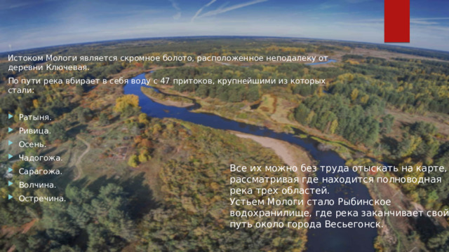 Истоком Мологи является скромное болото, расположенное неподалеку от деревни Ключевая. По пути река вбирает в себя воду с 47 притоков, крупнейшими из которых стали: Ратыня. Ривица. Осень. Чадогожа. Сарагожа. Волчина. Остречина. Все их можно без труда отыскать на карте, рассматривая где находится полноводная река трех областей. Устьем Мологи стало Рыбинское водохранилище, где река заканчивает свой путь около города Весьегонск. 