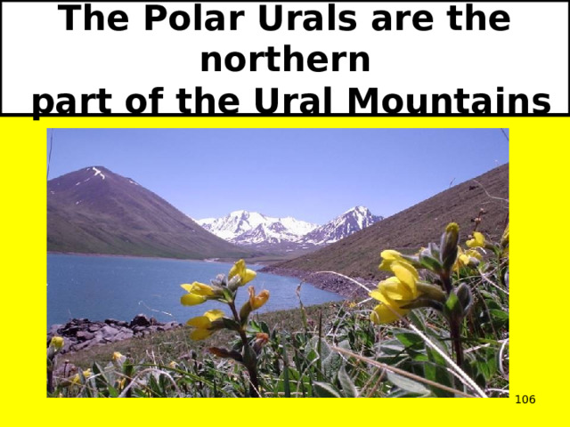 The Polar Urals are the northern  part of the Ural Mountains  