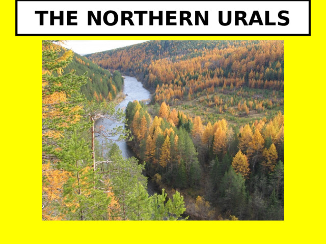 THE NORTHERN URALS 