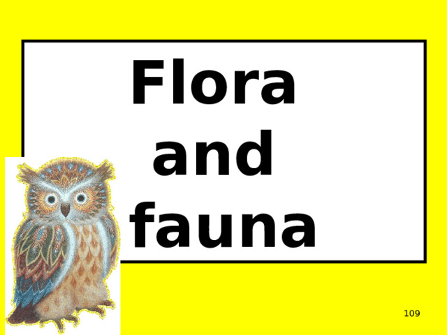 Flora  and  fauna  