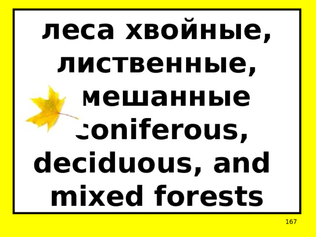 леса хвойные, лиственные, смешанные  coniferous, deciduous, and  mixed forests  