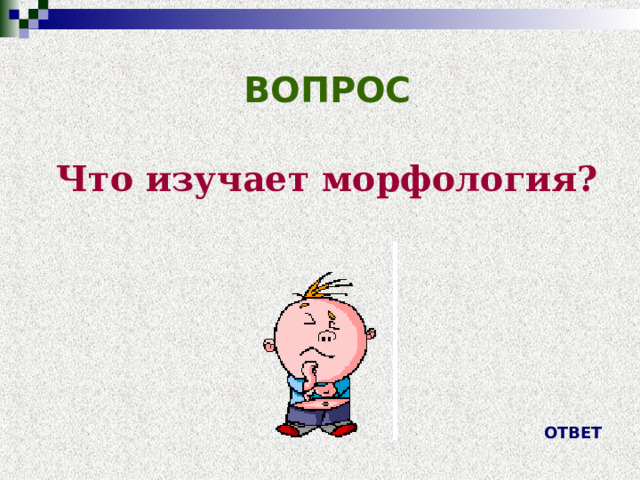  ВОПРОС Что изучает морфология? ОТВЕТ 