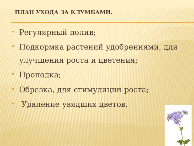 План ухода за клумбами. Регулярный полив; Подкормка растений удобрениями, для улучшения роста и цветения; Прополка; Обрезка, для стимуляции роста;  Удаление увядших цветов. 