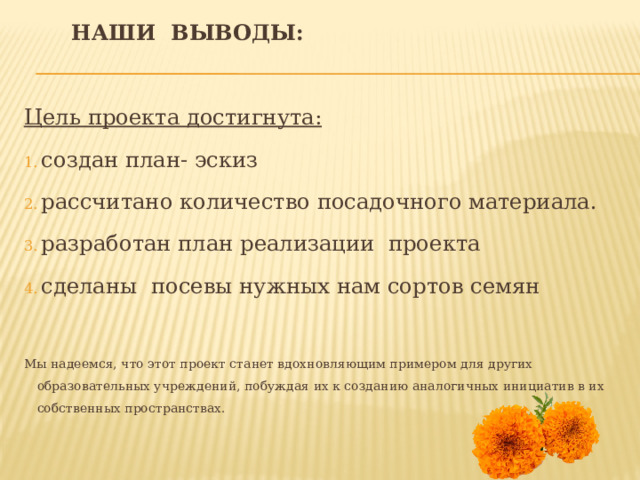 Наши выводы: Цель проекта достигнута: создан план- эскиз рассчитано количество посадочного материала. разработан план реализации проекта сделаны посевы нужных нам сортов семян Мы надеемся, что этот проект станет вдохновляющим примером для других образовательных учреждений, побуждая их к созданию аналогичных инициатив в их собственных пространствах. 