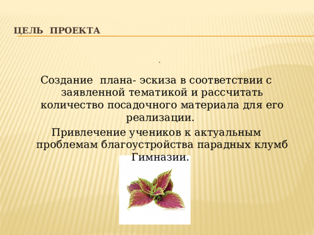 Цель проекта . Создание плана- эскиза в соответствии с заявленной тематикой и рассчитать количество посадочного материала для его реализации. Привлечение учеников к актуальным проблемам благоустройства парадных клумб Гимназии. 