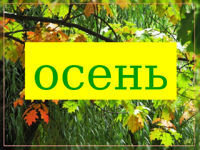 осень 