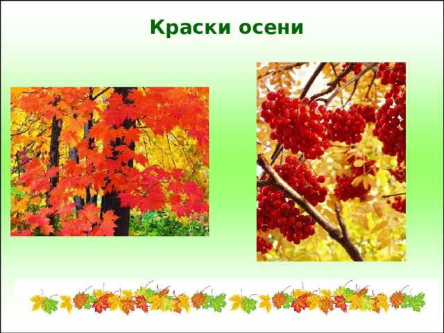 Краски осени 