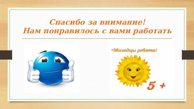 Спасибо за внимание!  Нам понравилось с вами работать 