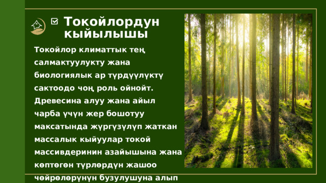 Токойлордун кыйылышы Токойлор климаттык тең салмактуулукту жана биологиялык ар түрдүүлүктү сактоодо чоң роль ойнойт. Древесина алуу жана айыл чарба үчүн жер бошотуу максатында жүргүзүлүп жаткан массалык кыйуулар токой массивдеринин азайышына жана көптөгөн түрлөрдүн жашоо чөйрөлөрүнүн бузулушуна алып келет. 