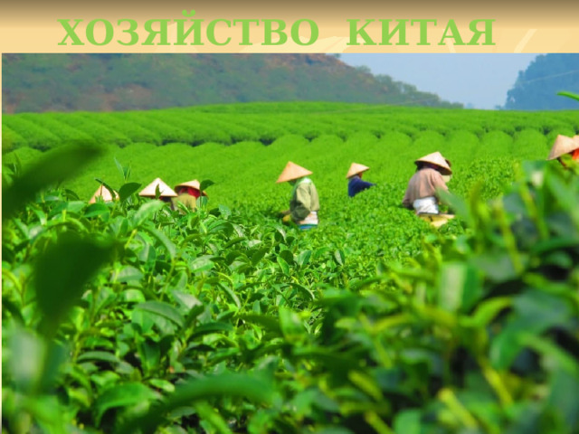 ХОЗЯЙСТВО КИТАЯ 