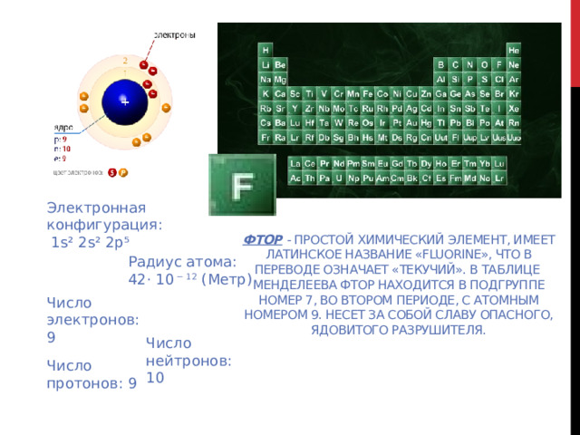 Электронная конфигурация:  1s² 2s² 2p⁵ Фтор  - простой химический элемент, имеет латинское название «Fluorine», что в переводе означает «текучий». В таблице Менделеева Фтор находится в подгруппе номер 7, во втором периоде, с атомным номером 9. Несет за собой славу опасного, ядовитого разрушителя.    Радиус атома: 42· 10  − 12  (Метр)  Число электронов: 9 Число нейтронов: 10 Число протонов: 9 