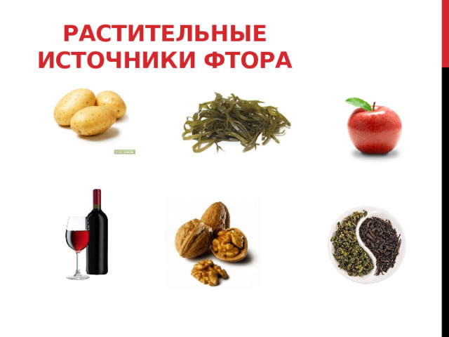 Растительные источники фтора 