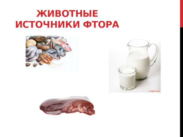 Животные источники фтора 