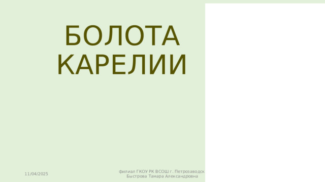 БОЛОТА КАРЕЛИИ 11/04/2025 филиал ГКОУ РК ВСОШ г. Петрозаводск Быстрова Тамара Александровна 